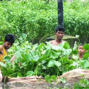 ON THE SHITALAKSHYA 02